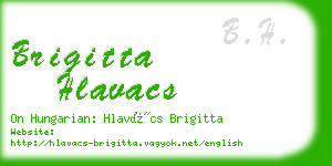 brigitta hlavacs business card